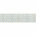 Лента RT 2-2500 24V Cool 5x2 (2835, 875 LED, LUX), SL019083